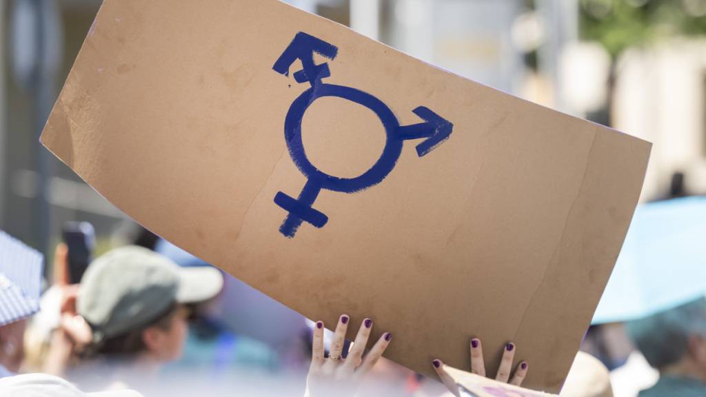 Am 14. Juni wird gegen Gewalt an Frauen und Ungleichheit demonstriert. Im Bild: Menschen demonstrieren mit Transparenten und Plakaten 2025 am Frauenstreik in Basel. (Archivbild)
