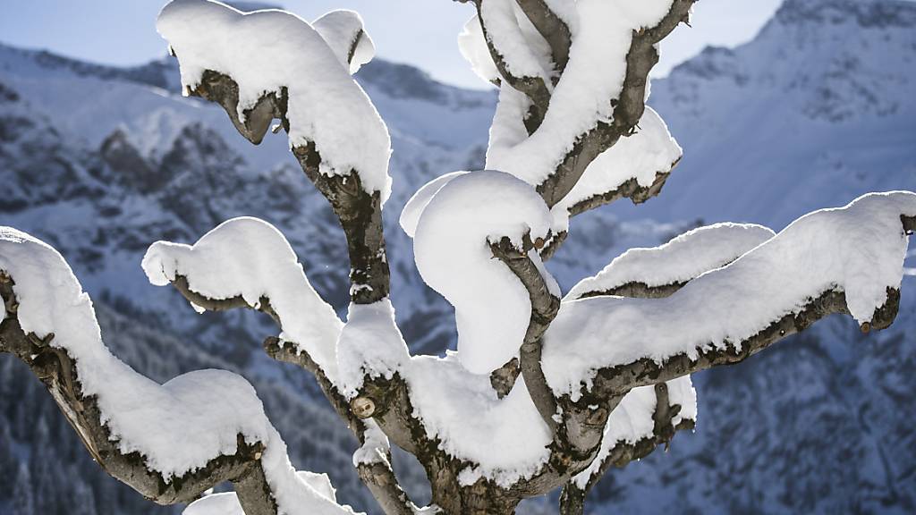 Schnee bis in tiefe Lagen und Sturmböen in der Schweiz