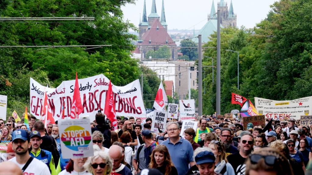 Teilnehmer einer Demonstration auf dem Weg zum Messegelände. Dort findet der Bundesparteitag der AfD statt. Foto: Sebastian Willnow/dpa