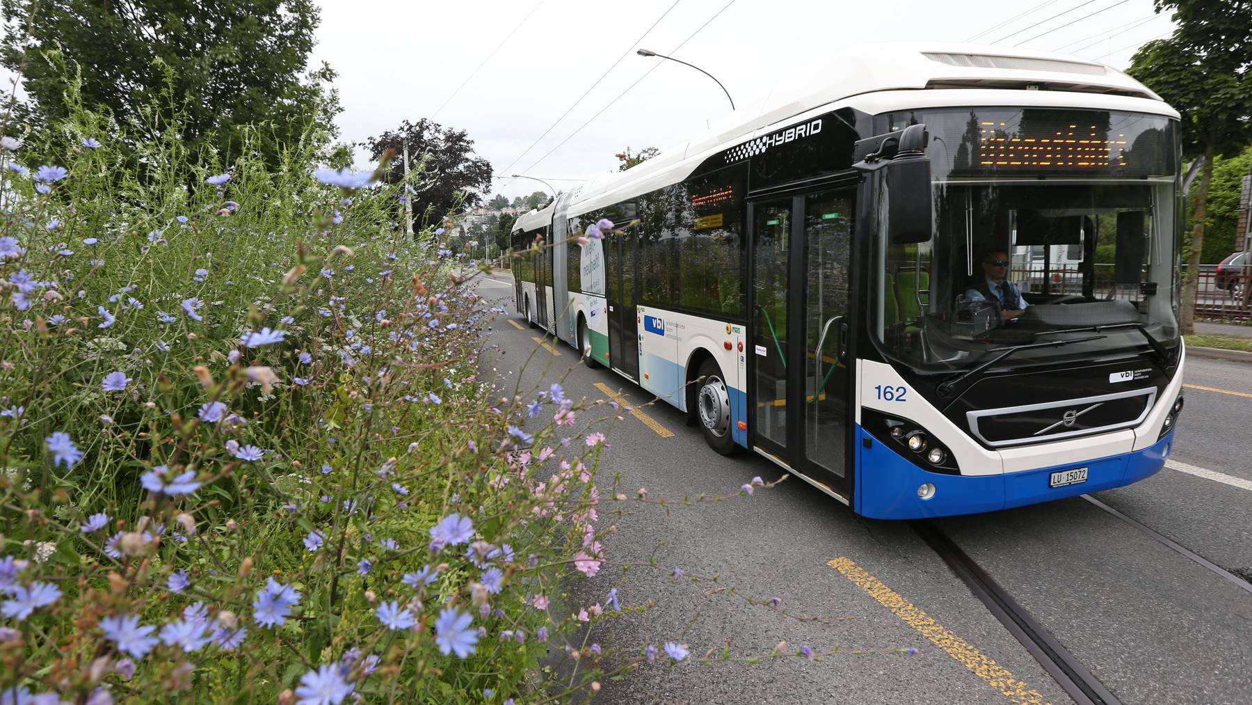 Erster Hybrid-Gelenkbus in Luzern 