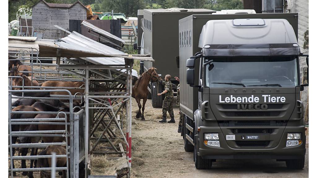 Das Militär transportierte im August 2017 rund 90 Pferde vom Hof in Hefenhofen ab. (Archivbild)