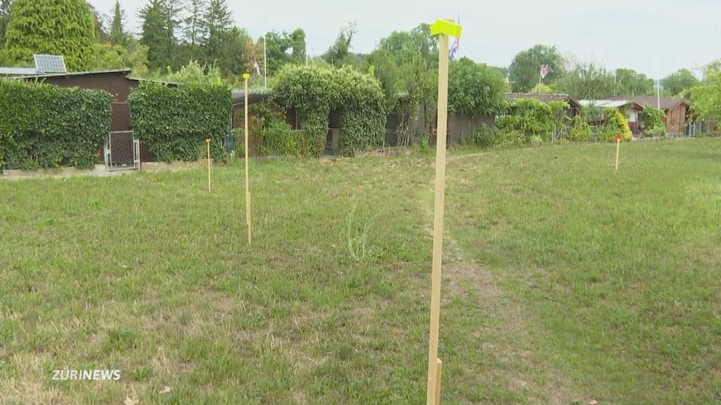 Limmat-Revitalisierung: Ungewisse Zukunft für 150 Familiengärten in Schlieren