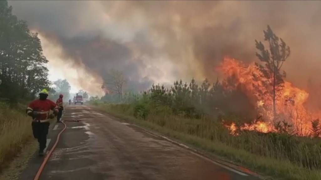 Steigende Waldbrandgefahr fordert Feuerwehren