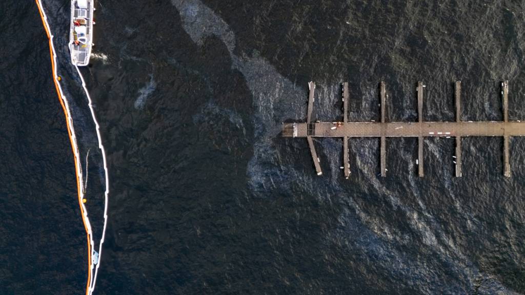 Einsatzkräfte haben Ölsperren beim Hafen Tiefenbrunnen in Zürich errichtet.