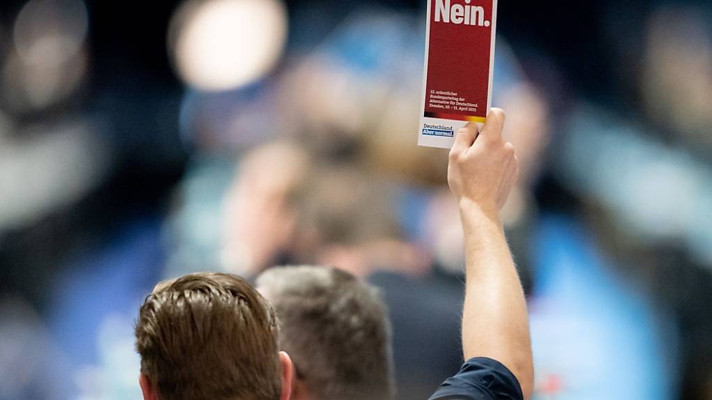 Die Delegierten zeigen in der Dresdener Messehalle beim Bundesparteitag der AfD ihre Stimmkarten. Foto: Kay Nietfeld/dpa