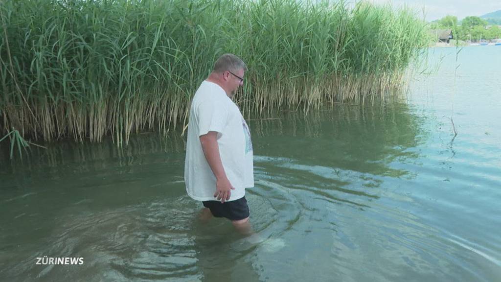 Beissende Überraschung im See: Entenflöhe plagen Zürcher nach Besuch im Pfäffikersee