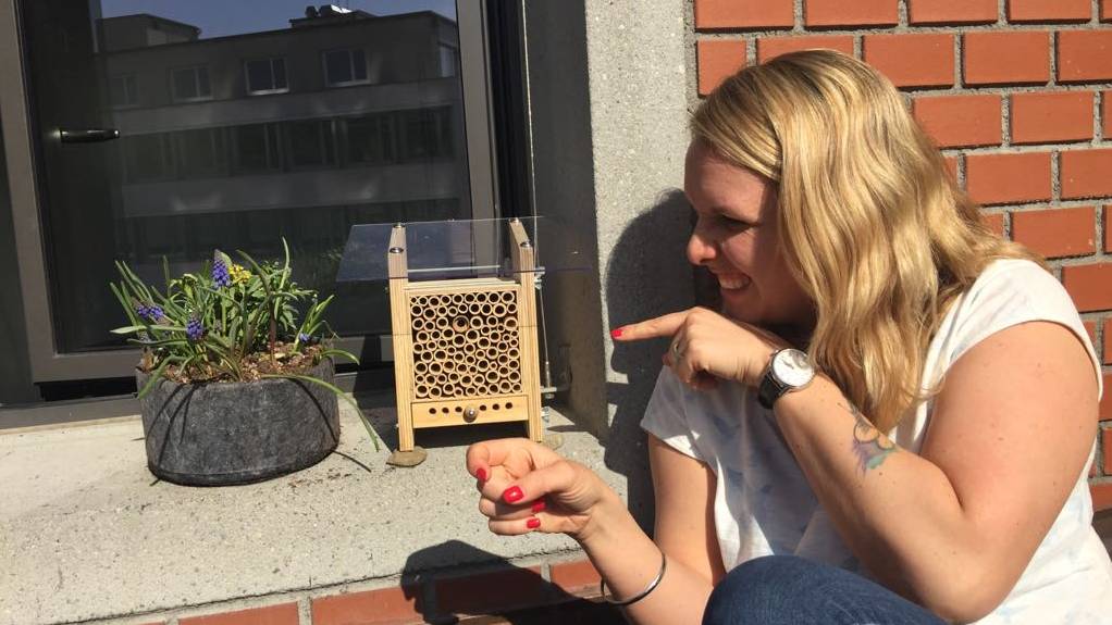Wildbienen_Infoabend_Radio_24