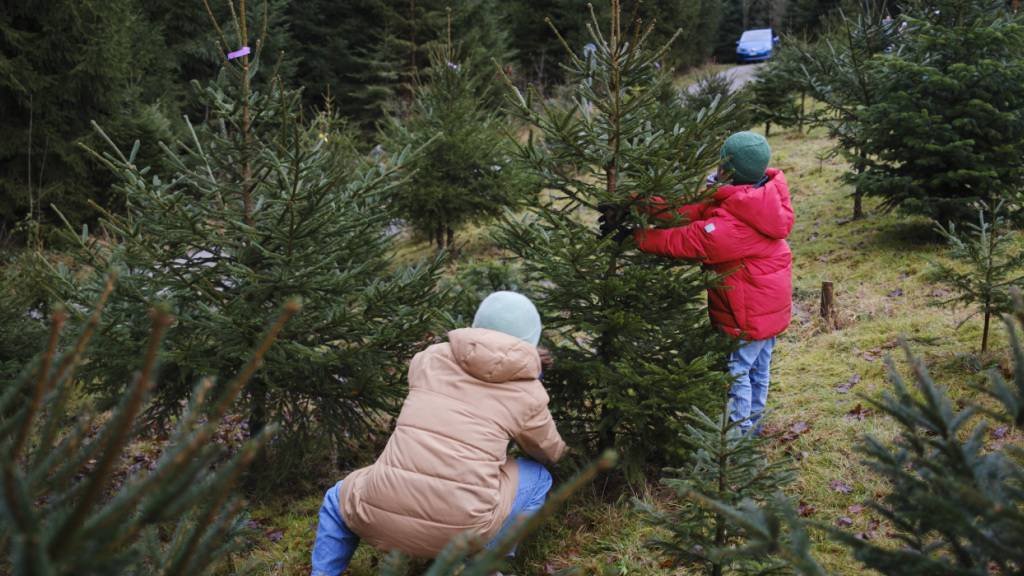 Chancen auf weisse Weihnachten stehen schlecht