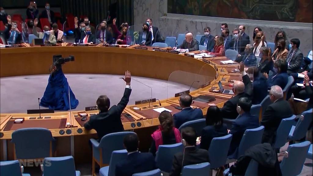 Soll die Schweiz in den UNO-Sicherheitsrat?