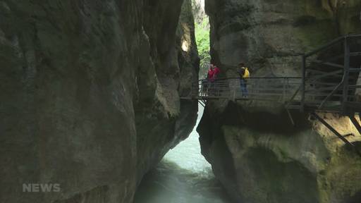 Die Aareschlucht erfrischt an warmen Tagen