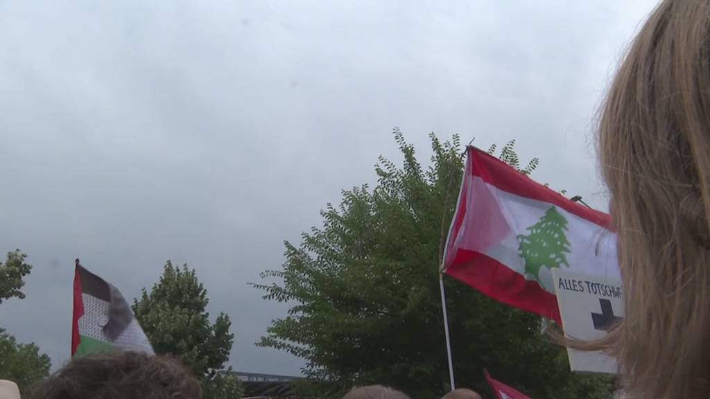 Demo «Solidarität mit Gaza»