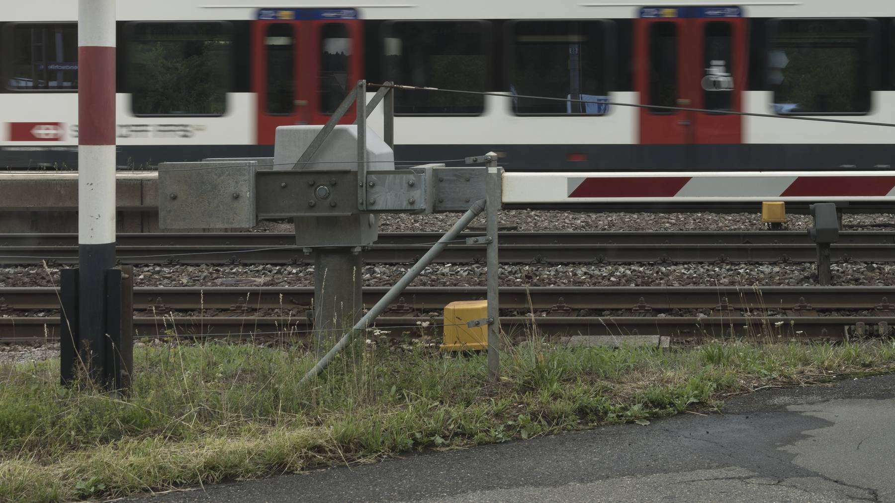 Ein Pferd wurde beim Bahnübergang in Mörigen von einem Zug erfasst. (Symbolbild)