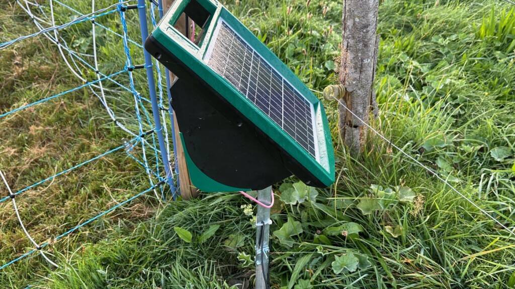 Im Kanton Appenzell Ausserrhoden verschwanden in den letzten Tagen mehrere Weidezaunapparate. (Symbolbild)