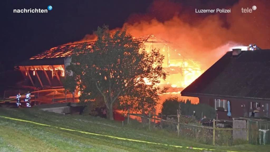 Mehrere tote Tiere bei Scheunenbrand in Müswangen