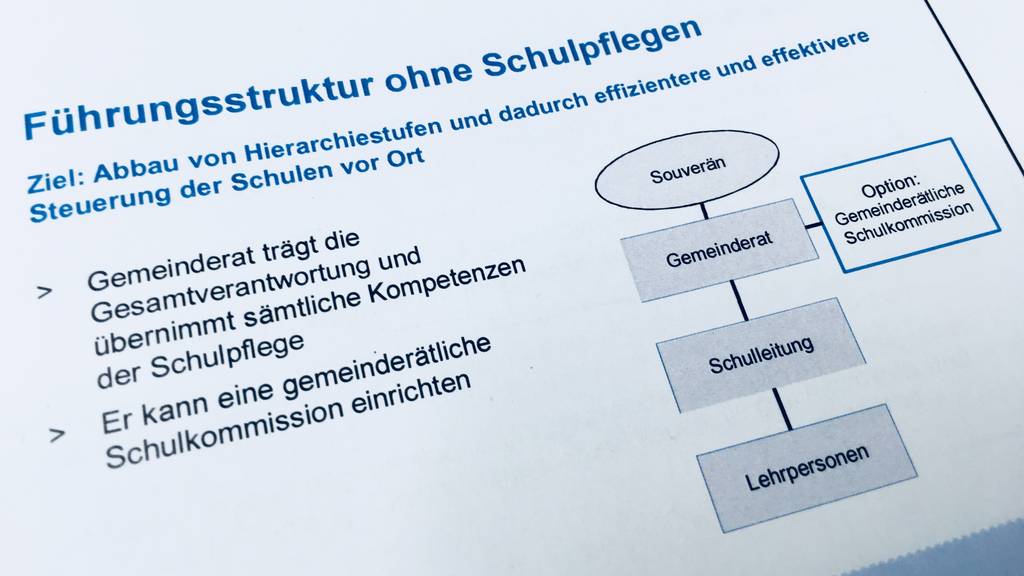 Aargau will Schulfplege abschaffen