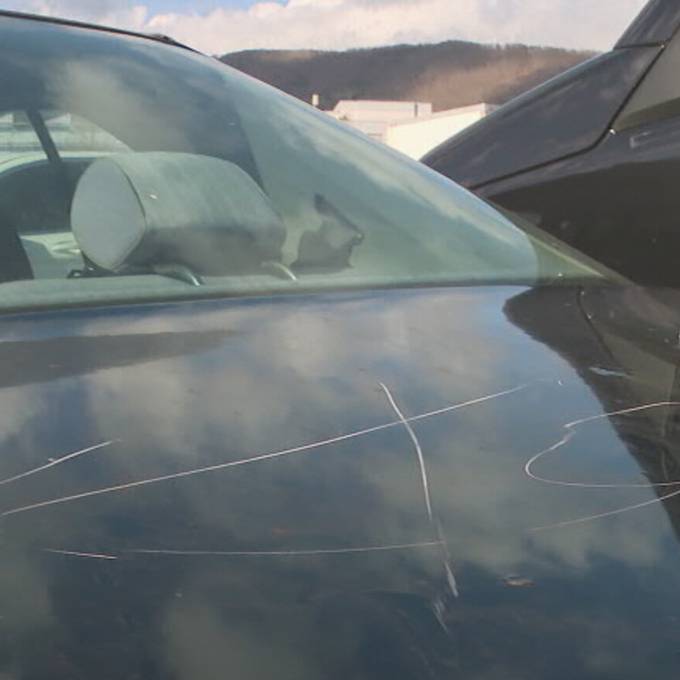 Vandalismus bei Autohändler: «Zum Glück wurden teure Autos nicht beschädigt»