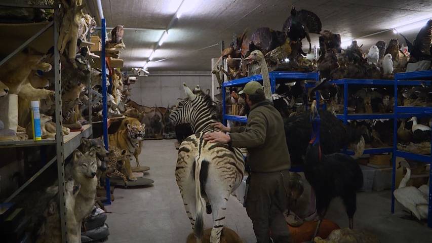 Tiere exotisch: Walter und die toten Tiere