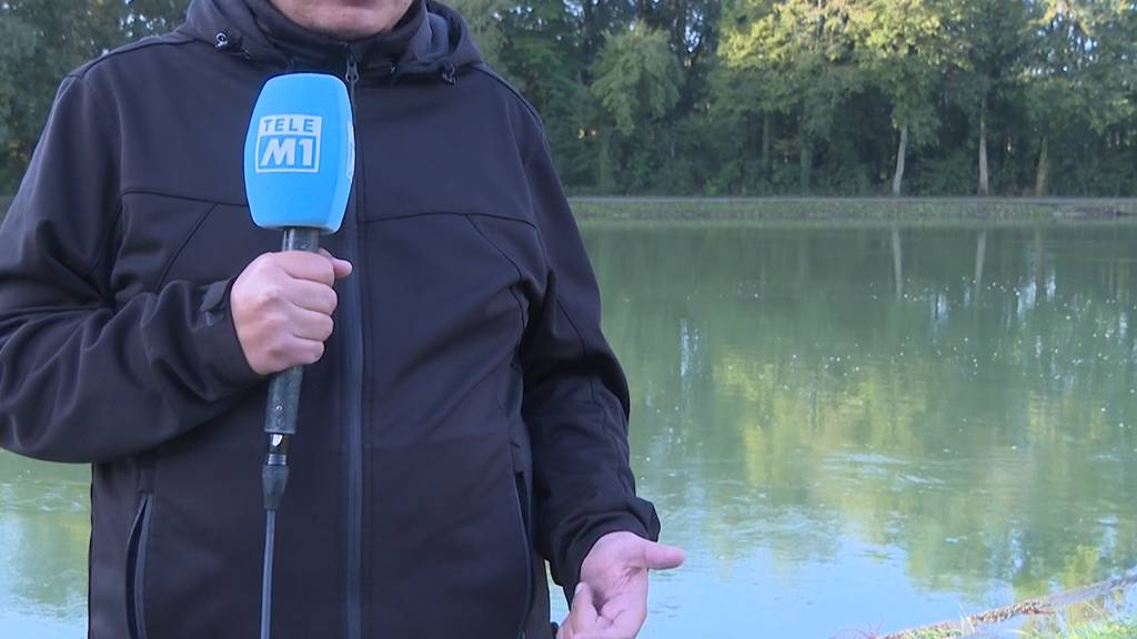 «Sie ist vor unseren Augen verstorben»: Rave-Besucher berichtet von Schüssen in Aarau