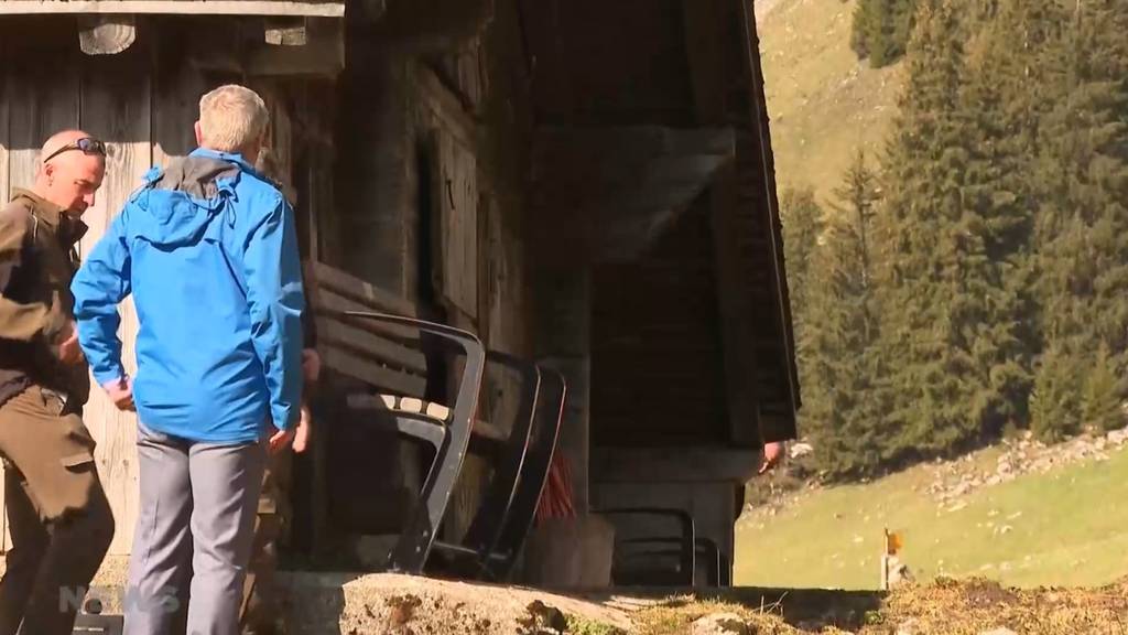 Dora und Christoph ausgesetzt – Steingeiss und Steinbock leben jetzt am Stockhorn