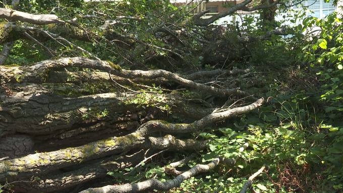 Schandfleck: Ärger bei Quartierbewohnern in Bronschhofen