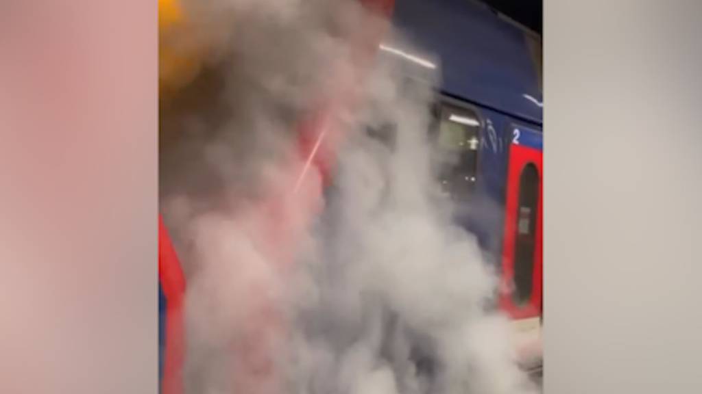 Darum war eine Zürcher S-Bahn in dichten Rauch gehüllt