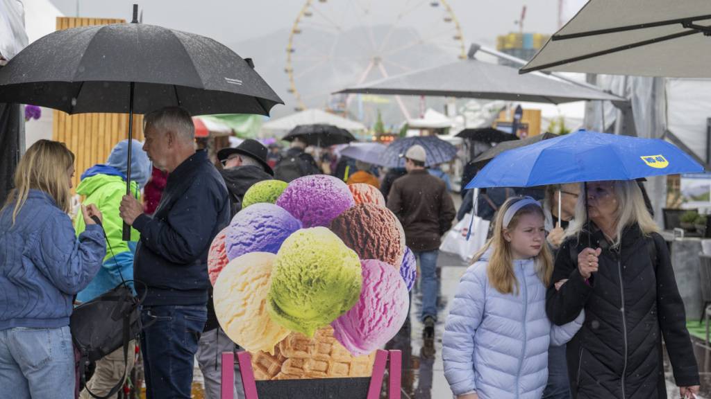 Die jeweils im Frühling stattfindende Luga ist die bekannteste Veranstaltung, welche die Messe Luzern AG auf der Allmend organisiert. (Archivaufnahme)