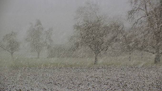 Viele Wolken, Schnee und Wind am Sonntag