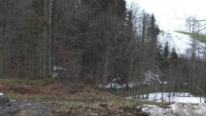 Weg durchs Storchennest: Naturschützer machen mobil