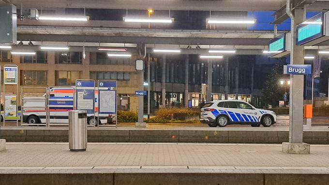 SVP-Grossrätinnen fordern Security Points an Aargauer Bahnhöfen