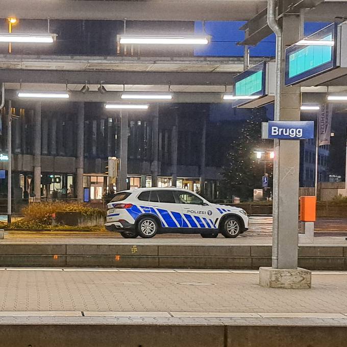 SVP-Grossrätinnen fordern Security Points an Aargauer Bahnhöfen