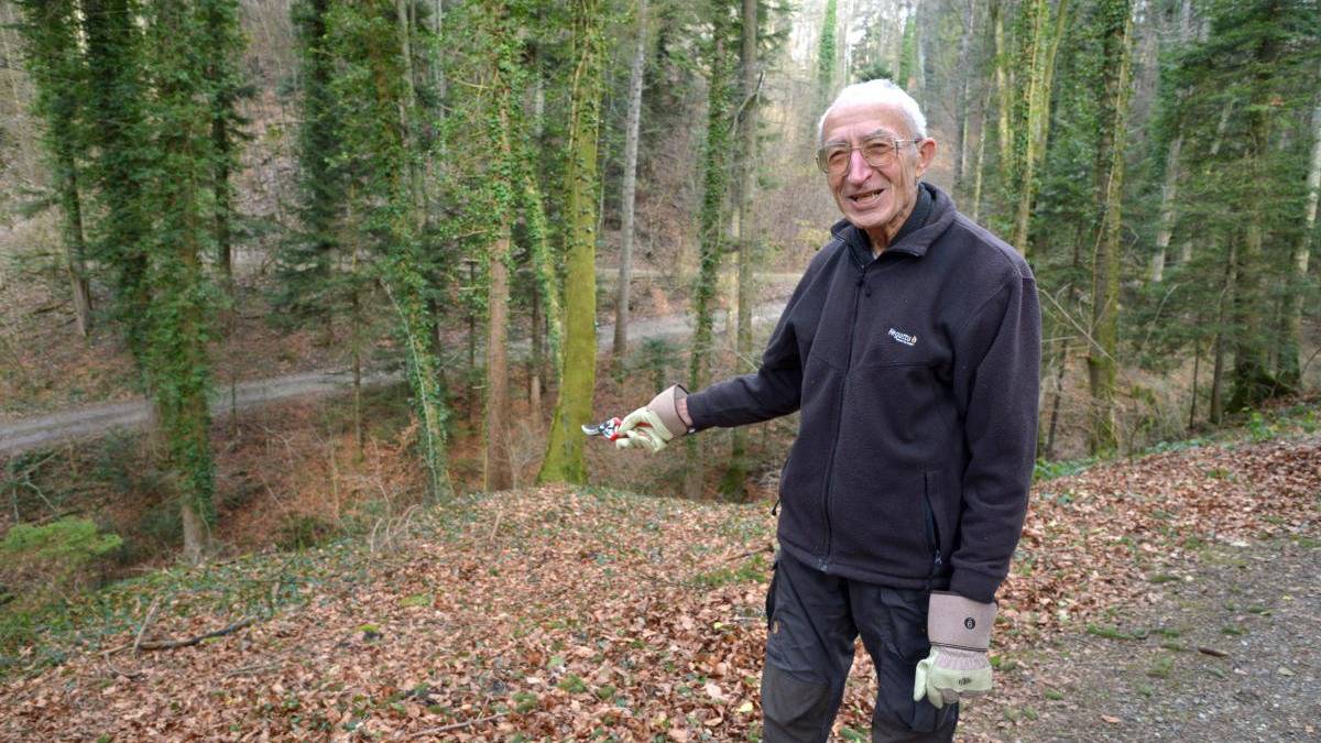 An diesem Abhang fand Waldbesitzer Manfred Hunziker am Donnerstag den Teppich, in den eine weibliche Leiche eingerollt war.