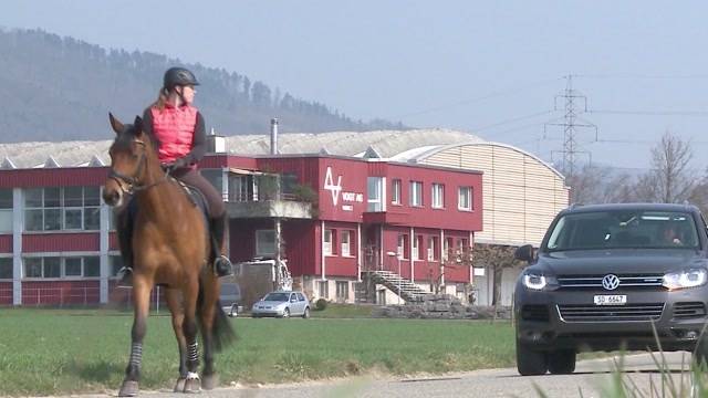 Schwerer Reitunfall in Rupperswil