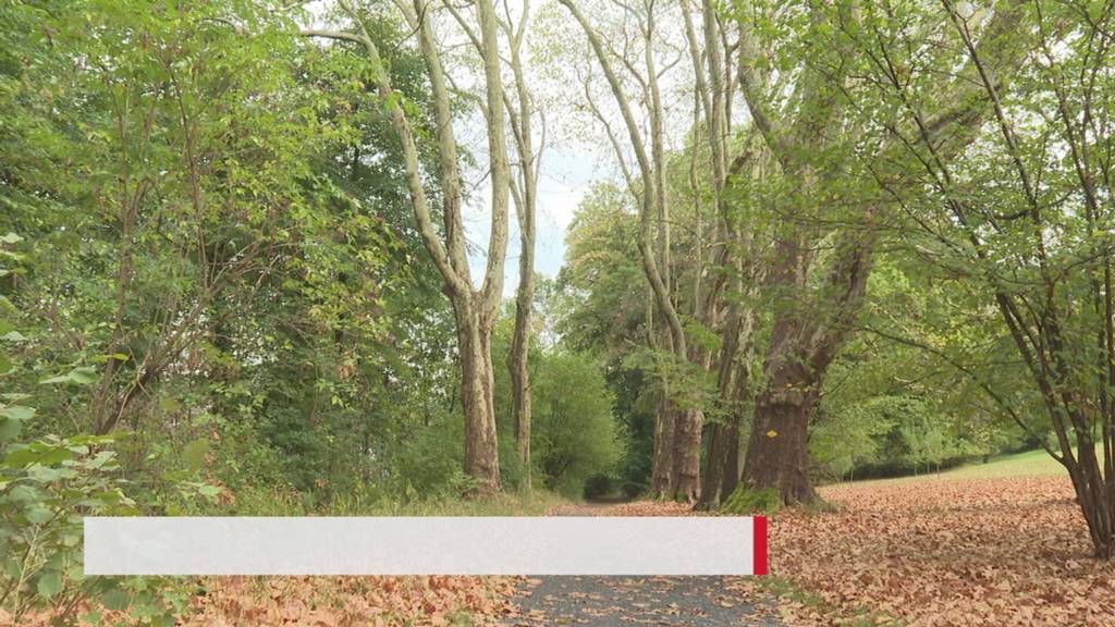 Kurznachrichten
