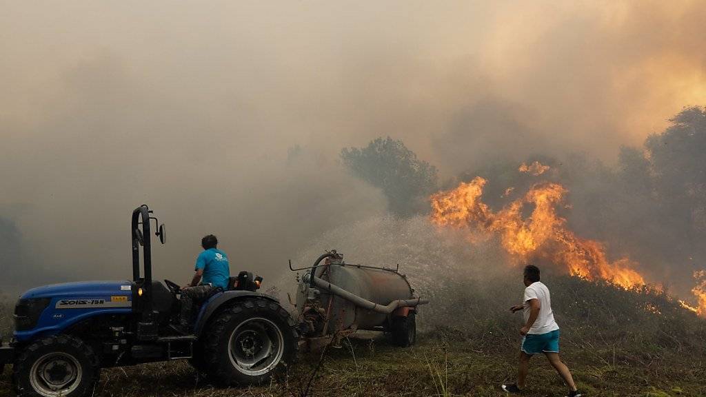 Selbsthilfe im Kampf gegen die Feuer in Portugal