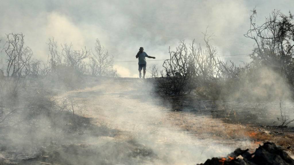 Ein Mann geht durch ein verbranntes Gebiet im Dorf Souni. Foto: Petros Karadjias/AP/dpa