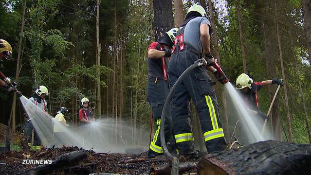 Brandstiftung vermutet: Mehrere Waldbrände im Thurgau