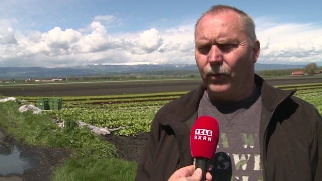 Ernte wegen April-Schnee in Gefahr