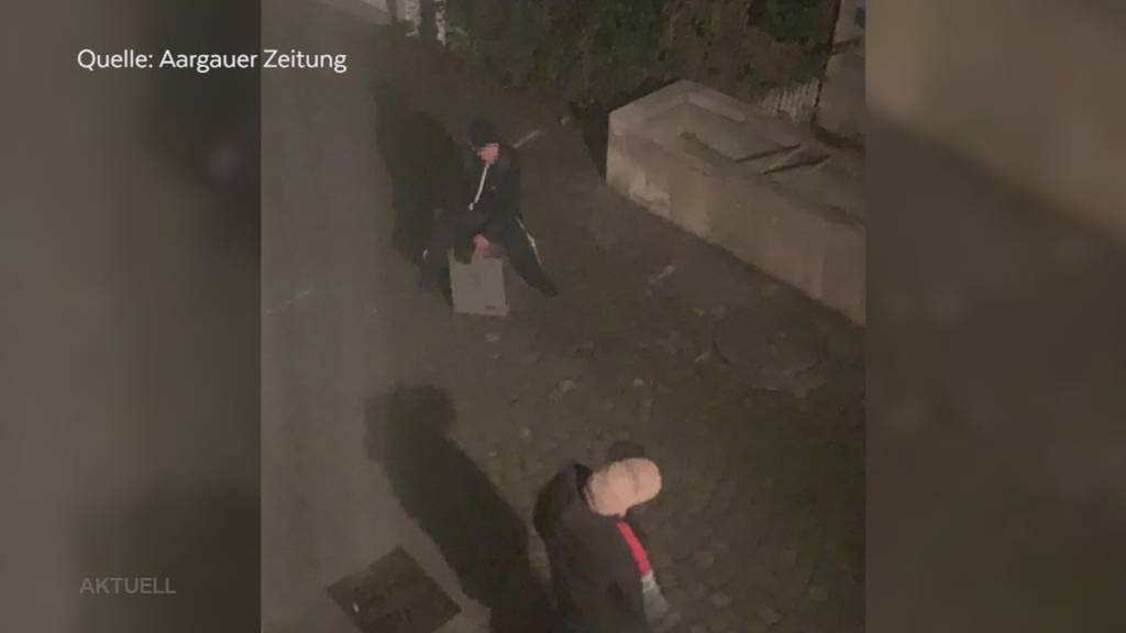 Tresor geklaut: Polizeihund «Malouk» stellt in Aarau zwei mutmassliche Diebe