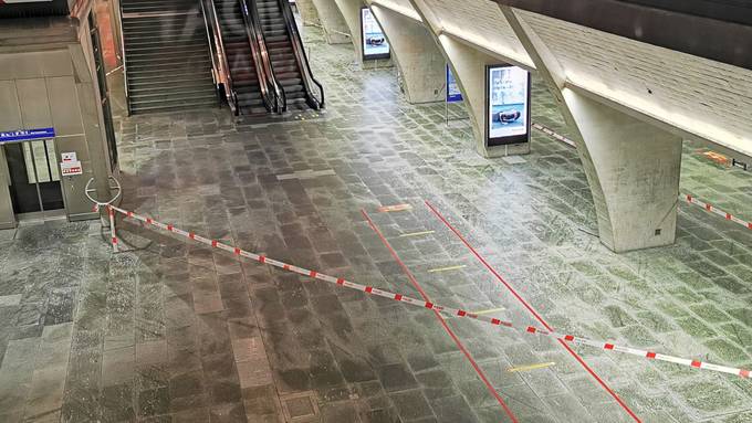 Mann nach Messerstecherei am Bahnhof Luzern lebensbedrohlich verletzt