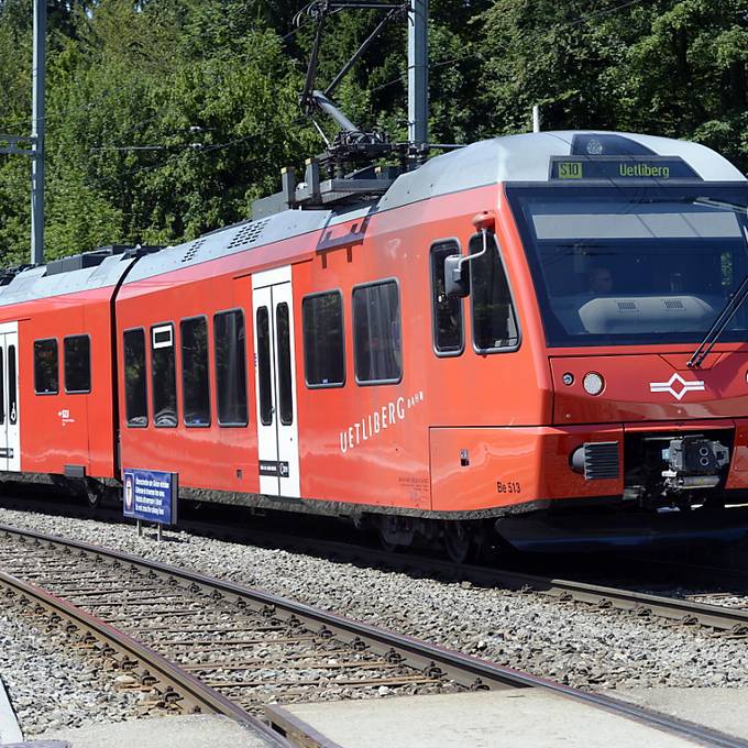 Uetlibergbahn erhält 350 neue Strommasten