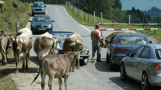 Obwalden will Passfahrer-Lärm mit Temporeduktion bekämpfen