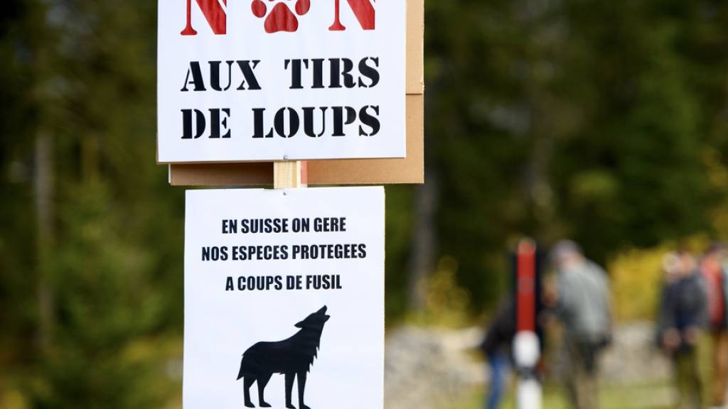 Waadtländer Wolfsschützer verhindern Abschüsse mit Störaktionen