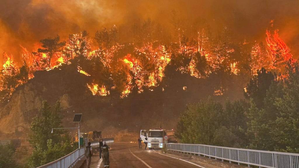 dpatopbilder - Ein Waldbrand wütet in einem Waldgebiet in der Nähe des Dorfes Cavuslar im Bezirk Karabuk im Nordwesten der Türkei. Foto: Ridvan Bostanci/IHA/AP/dpa/Bild vom 23.07.2025