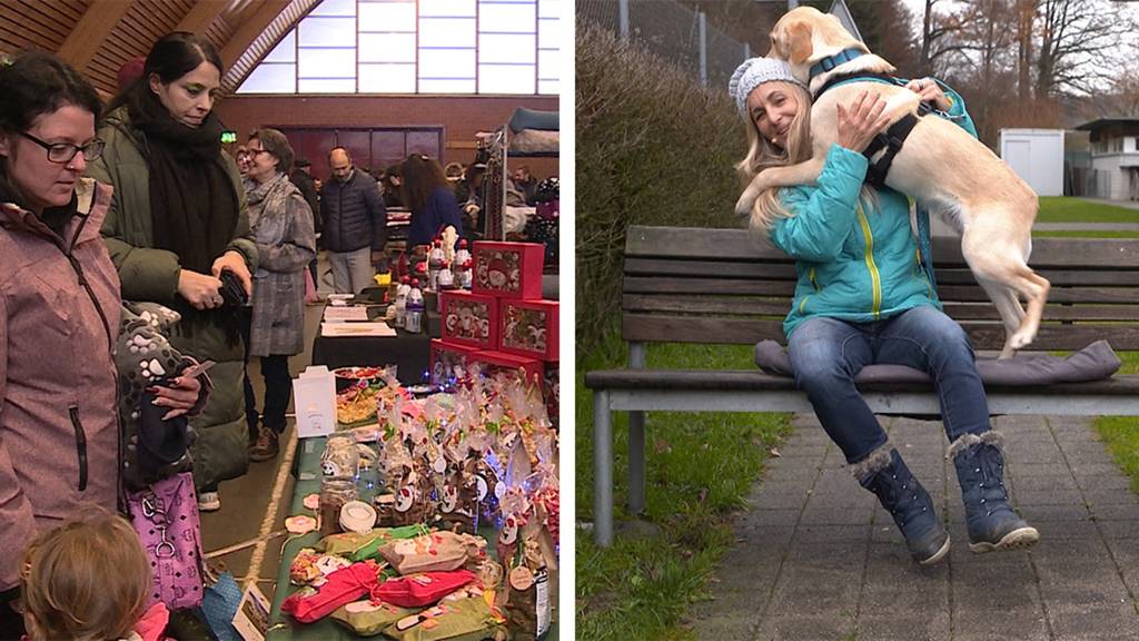 Hundeweihnachtsmarkt / Tierische Pannen