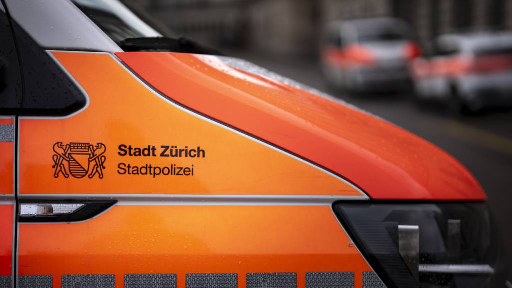 Polizei fasst in Zürich einen Drogendealer