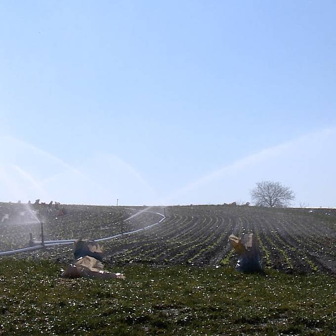 Wenig Regen und viel Sonne: Der März ist auf Rekordkurs