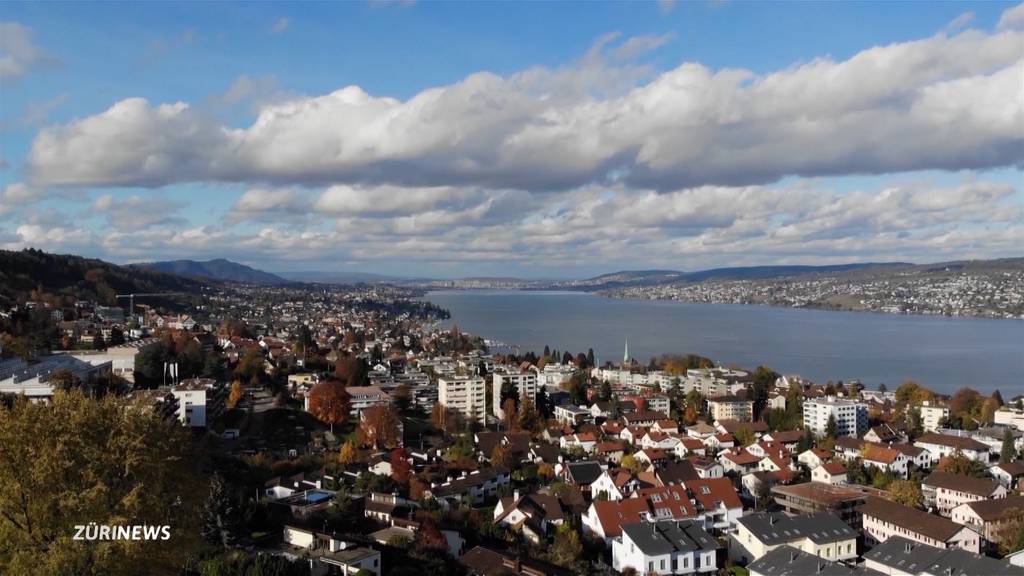 Eigenes Parlament für Horgen?