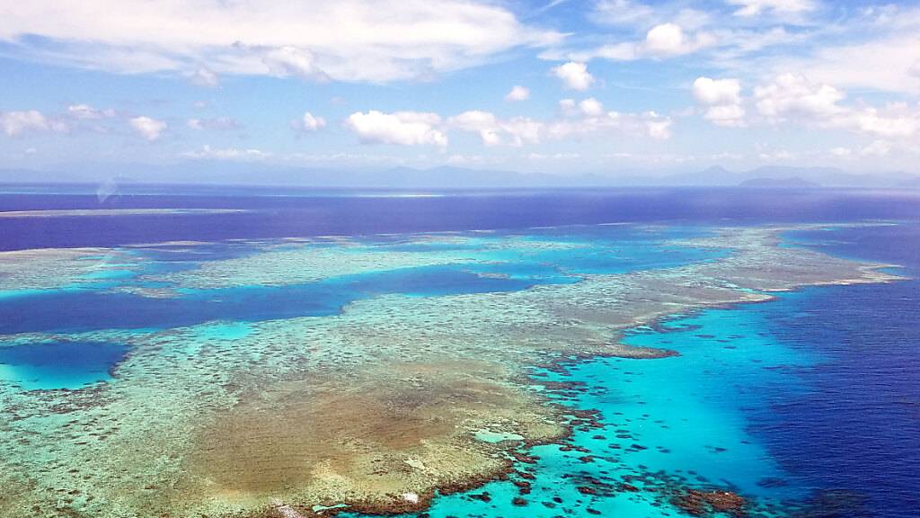 Australien investiert massiv in Schutz des Great Barrier Reef