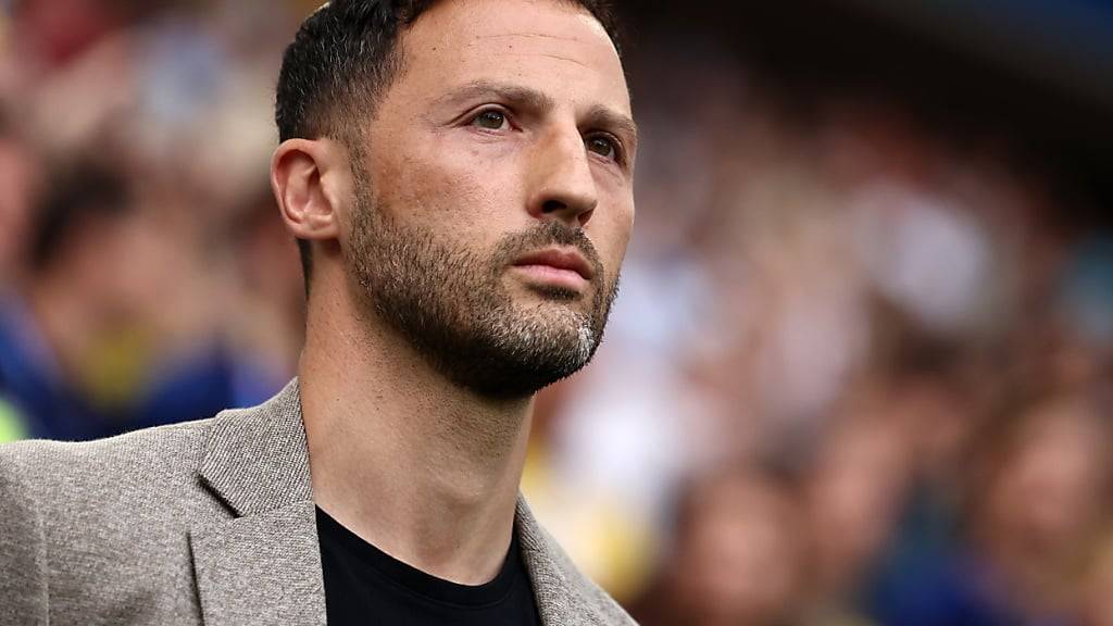 Domenico Tedesco ist nicht mehr Trainer der belgischen Nationalmannschaft