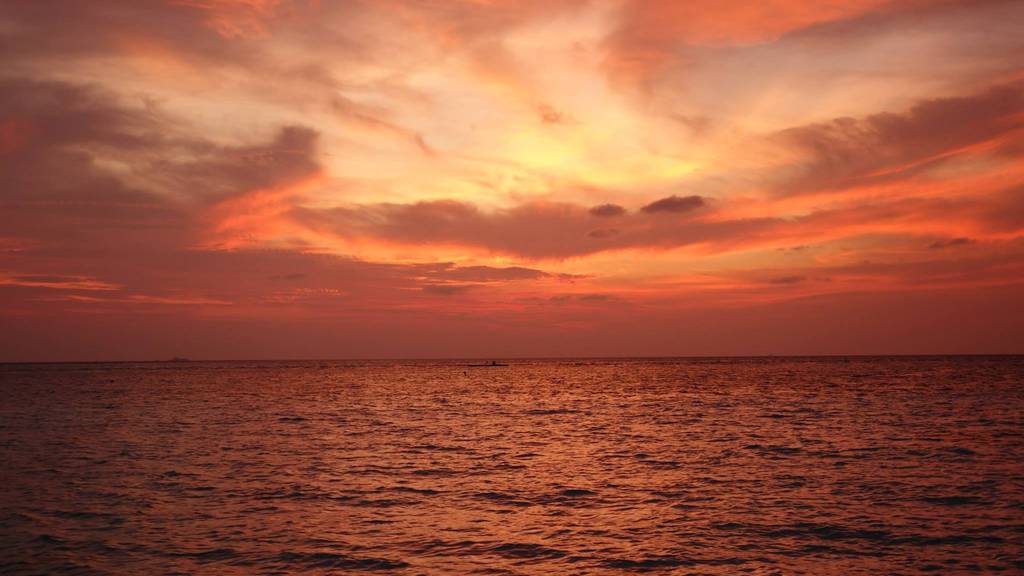 Sommerhits: Diese Songs gefallen den Promis